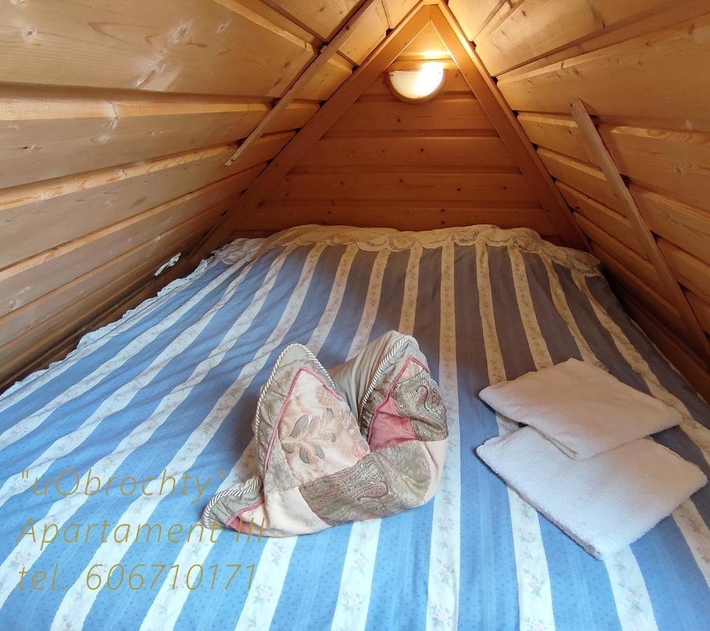 U Obrochty Apartment Zakopane Ngoại thất bức ảnh