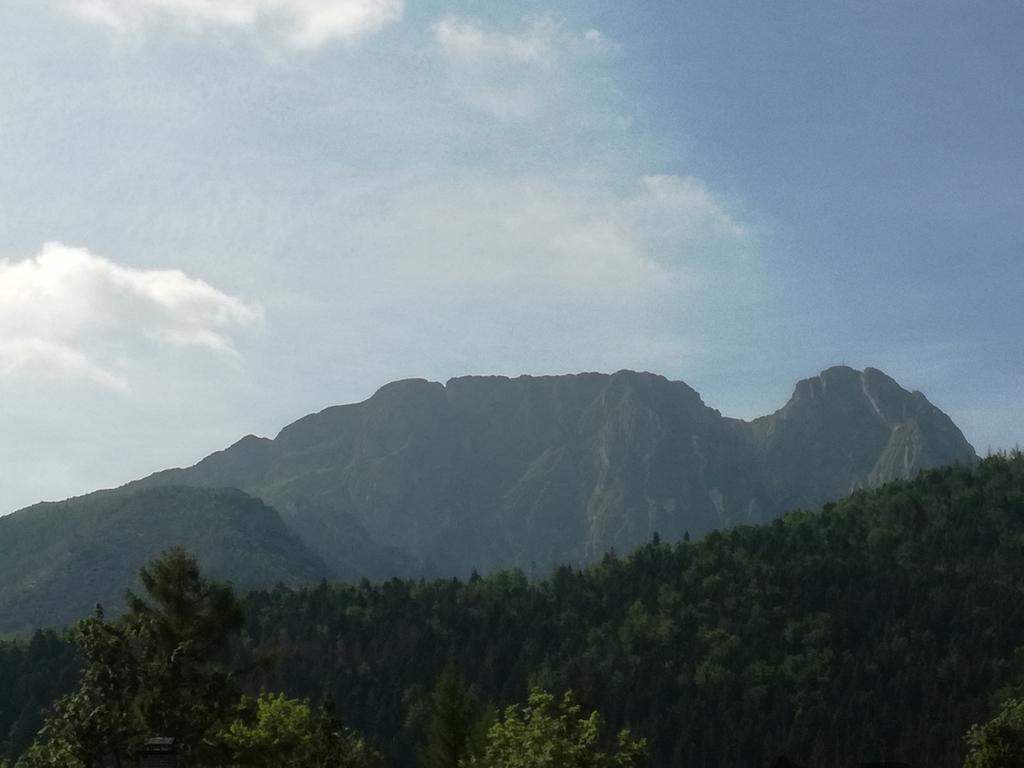 U Obrochty Apartment Zakopane Ngoại thất bức ảnh